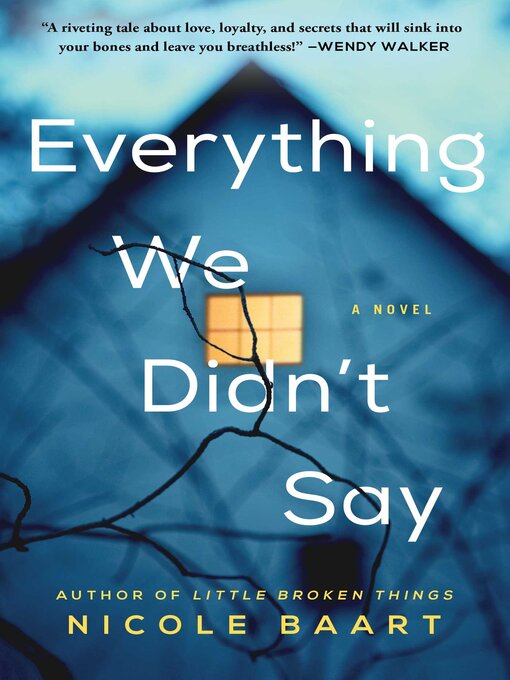 Cover image for Everything We Didn't Say: a Novel